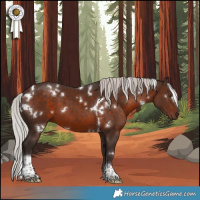 Horse Color:White Spotted Silver Brown Tobiano 