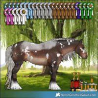 Horse Color:White Spotted Silver Brown Tobiano