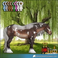 Horse Color:White Spotted Silver Brown Tobiano