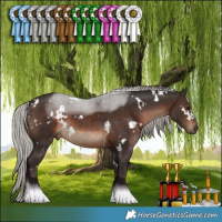 Horse Color:White Spotted Silver Brown Tobiano 