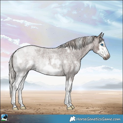 Horse Color:White Spotted Silver Blue Roan Splash Frame Rabicano 