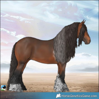 Horse Color:Bay Tobiano
