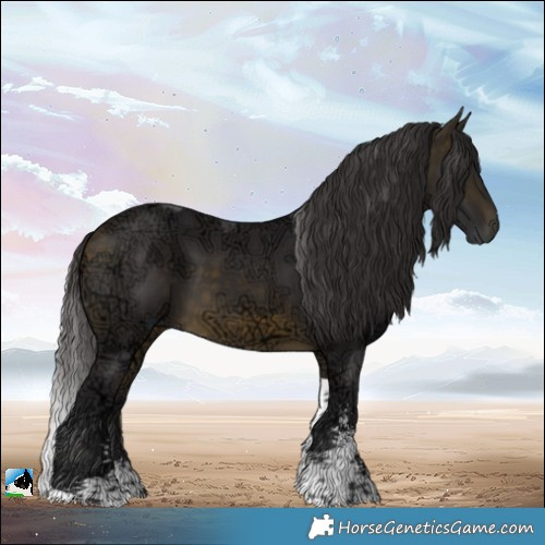 Horse Color:Buckskin Ice Sabino Tobiano 