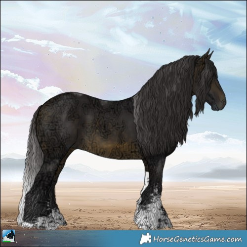 Horse Color:Buckskin Ice Sabino Tobiano 