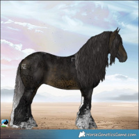 Horse Color:Buckskin Ice Sabino Tobiano 