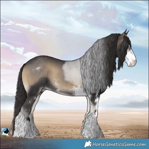 Horse Color:Smoky Blue Onyx Sabino Rabicano 