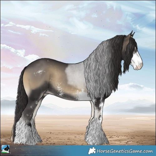 Horse Color:Smoky Blue Onyx Sabino Rabicano