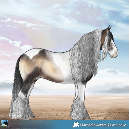 Horse Color:Brown Onyx Sabino Splash Tobiano Rabicano