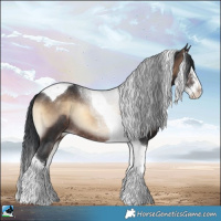 Horse Color:Brown Onyx Sabino Splash Tobiano Rabicano