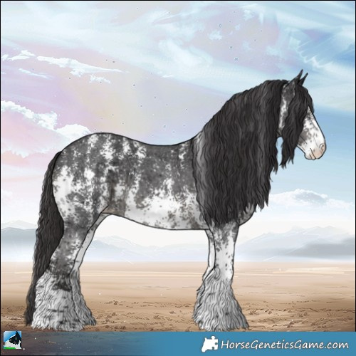 Horse Color:Smoky Black Ice Sabino 
