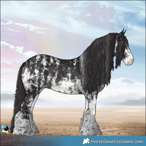 Horse Color:Smoky Black Ice Sabino