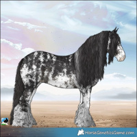 Horse Color:Smoky Black Ice Sabino