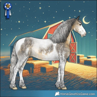 Horse Color:Silver Buckskin Sabino Tobiano 