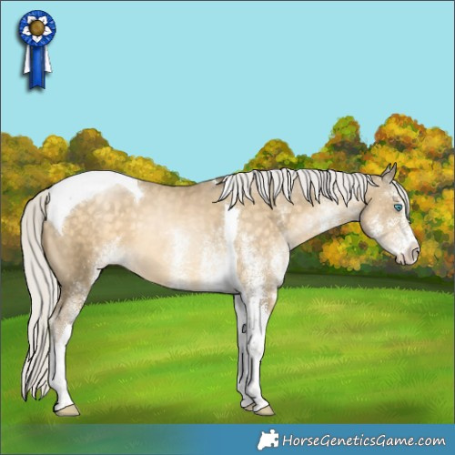 Horse Color:White Spotted Silver Buckskin Pearl Tobiano 