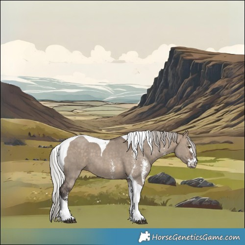 Horse Color:Silver Brown Dun Sabino Tobiano 