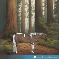 Horse Color:Silver Brown Dun Tobiano 
