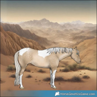 Horse Color:Silver Buckskin Pearl Dun Tobiano 