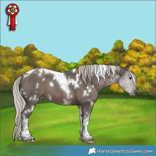 Horse Color:White Spotted Silver Black Tobiano 