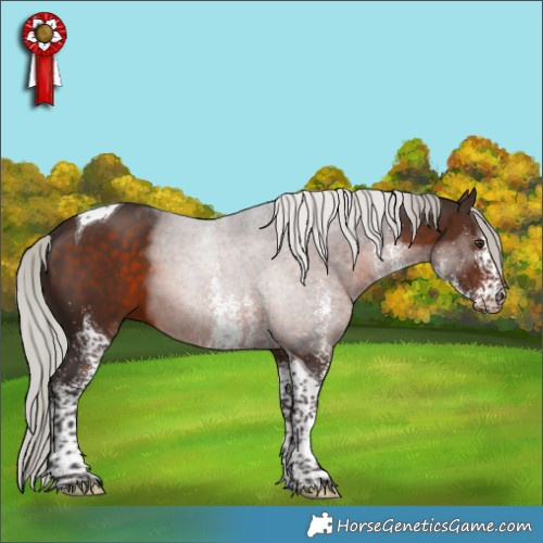 Horse Color:White Spotted Silver Brown Tobiano 