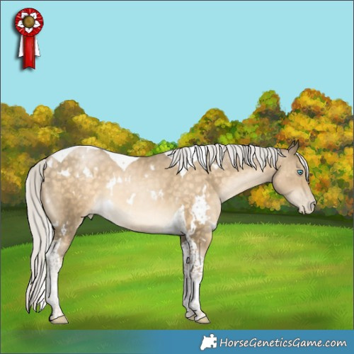 Horse Color:White Spotted Silver Buckskin Pearl Tobiano Rabicano 