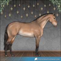 Horse Color:Bay Dun