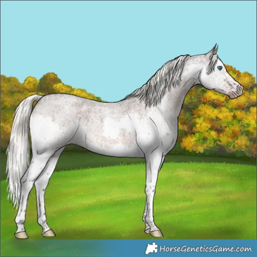 Horse Color:White Spotted Liver Red Roan Mushroom Splash 