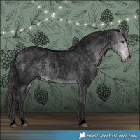Horse Color:Void Platinum Buckskin Roan Dun 
