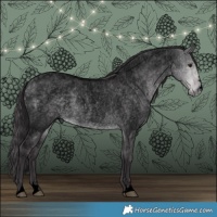 Horse Color:Void Platinum Buckskin Roan Dun