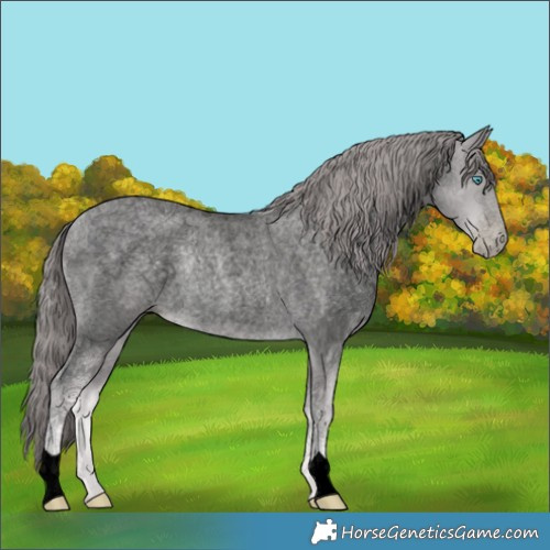 Horse Color:Void Platinum Buckskin Roan Pearl 