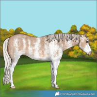 Horse Color:White Spotted Silver Brown Dun 