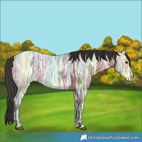 Horse Color:Bay Ice 