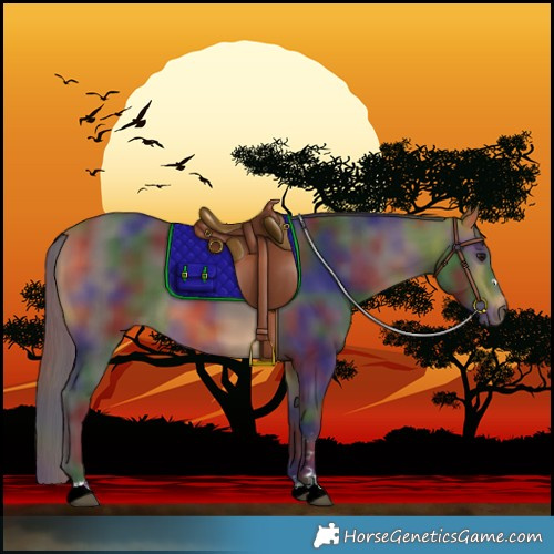 Horse Color:Nacre Buckskin 