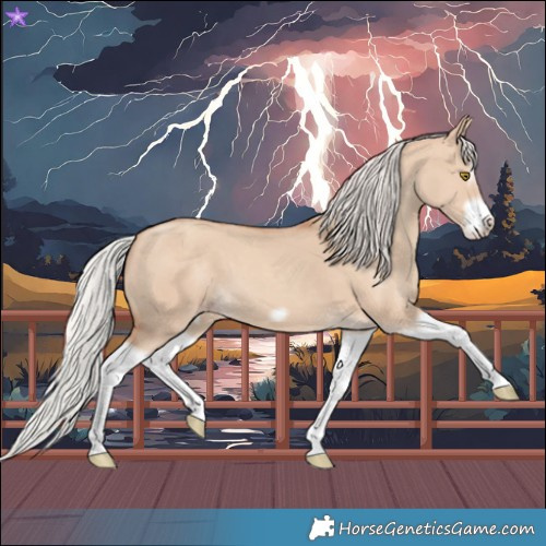 Horse Color:Silver Classic Champagne Dun Splash Frame 