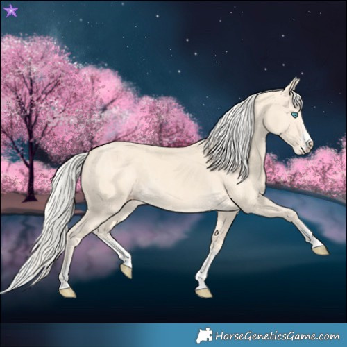 Horse Color:Cremello Splash  and Cremello Splash 