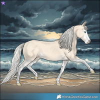 Horse Color:Cremello Splash and Cremello Splash
