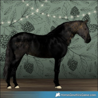 Horse Color:Powder White Void Buckskin Tobiano 