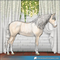 Horse Color:Powder White Silver Buckskin Pearl Dun 