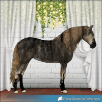 Horse Color:Powder White Void Buckskin Roan Pearl 