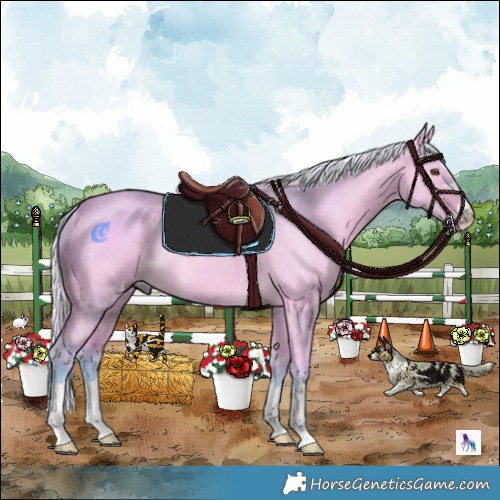 Horse Color:Watercolor Silver Buckskin Dun Rabicano 