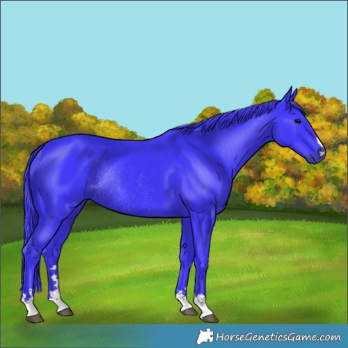 Horse Color:Watercolor Smoky Black Rabicano