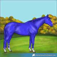 Horse Color:Watercolor Smoky Black Rabicano 
