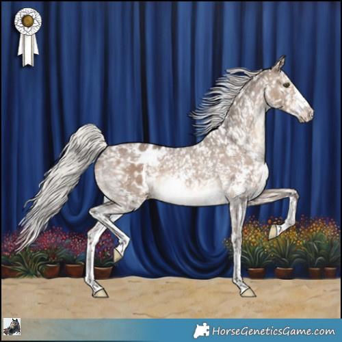 Horse Color:Silver Brown Dun Sabino Appaloosa Rabicano 