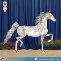 Horse Color:Silver Brown Dun Sabino Appaloosa Rabicano 