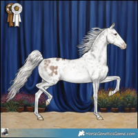 Horse Color:Silver Brown Dun Sabino Appaloosa Rabicano
