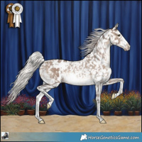 Horse Color:Silver Brown Dun Sabino Snowflake Varnish Rabicano 