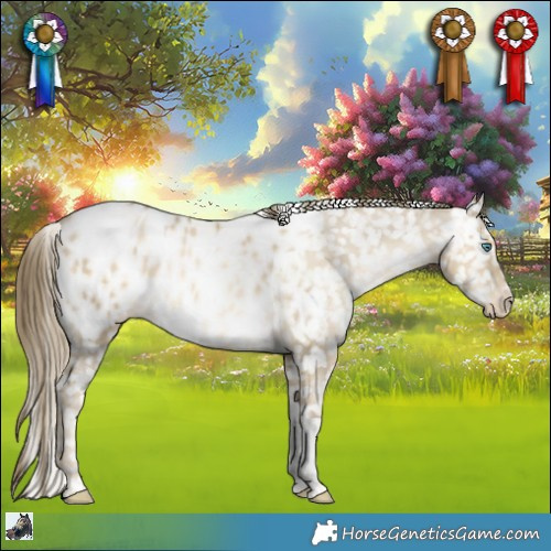 Horse Color:Grullo Snowdrop Pearl Tobiano Appaloosa Rabicano 
