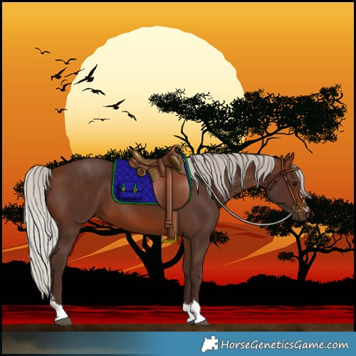 Horse Color:Silver Brown 