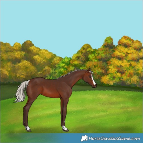 Horse Color:Silver Brown 