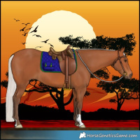 Horse Color:Silver Bay