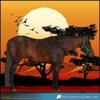 Horse Color:White Spotted Bay Ice Rabicano 